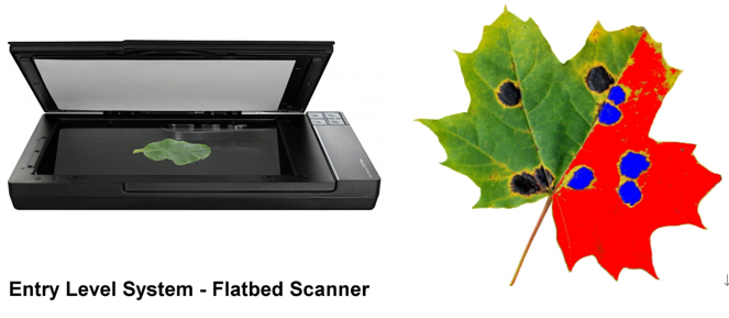 圖片關鍵詞 圖片關鍵詞