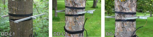 直徑生長測量儀 直徑生長測量儀