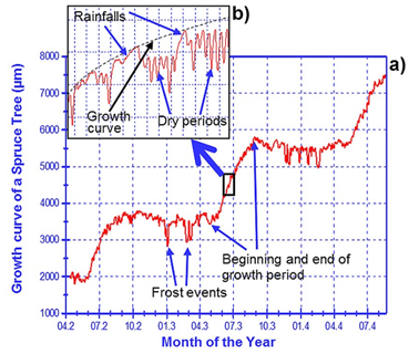 樹木生長測量儀 樹木生長測量儀