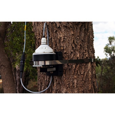 DBV60環式生長記錄傳感器