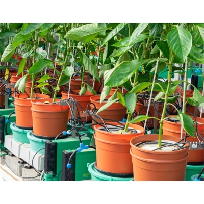 Plantarray高通量植物生理表型系統