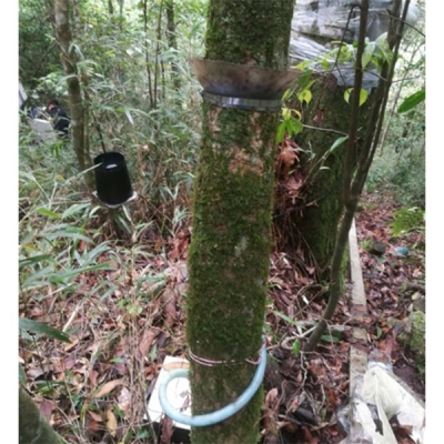 DJ-5011 樹干截流采集儀